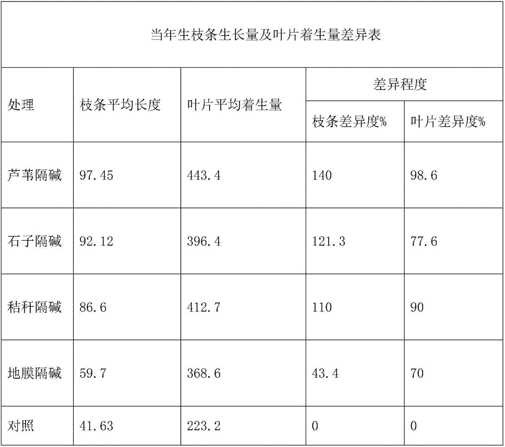 Method for planting fraxinus chinensis in saline-alkaline land using containers for alkaline insulation