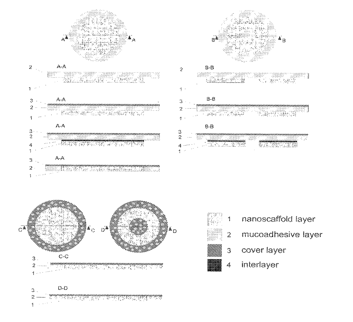 Mucoadhesive carriers of particles, method of preparation and uses thereof