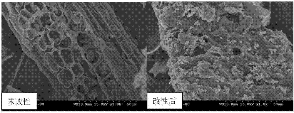 Soil heavy metal restoration agent and preparation method thereof