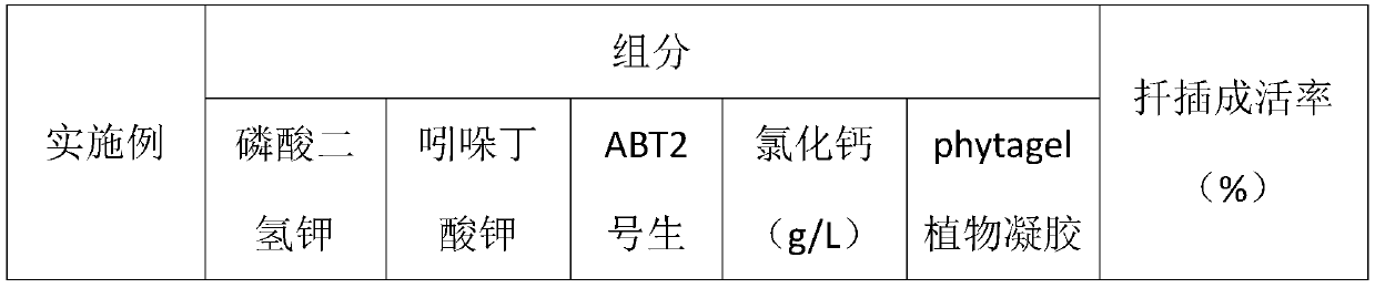 A special hormone gel for camellia oleifera cutting and preparation method thereof