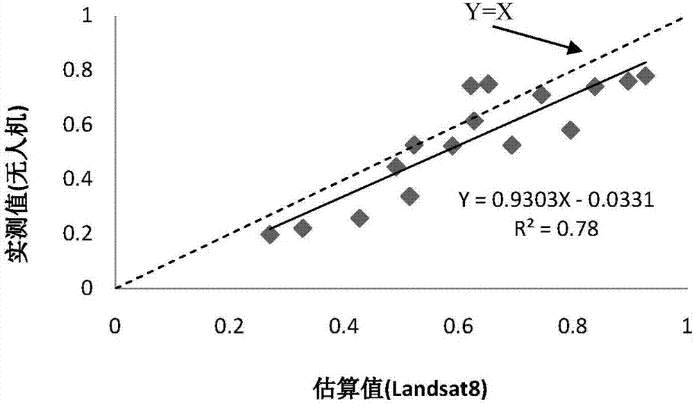 Calculation method for large spatial scale vegetation coverage by combining with unmanned aerial vehicle (UAV) image