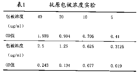 Monoclonal antibody for detecting aminoglycoside antibiotics and kit thereof