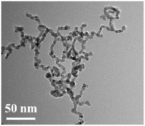 A kind of palladium tin nanochain network catalyst and its preparation method and application