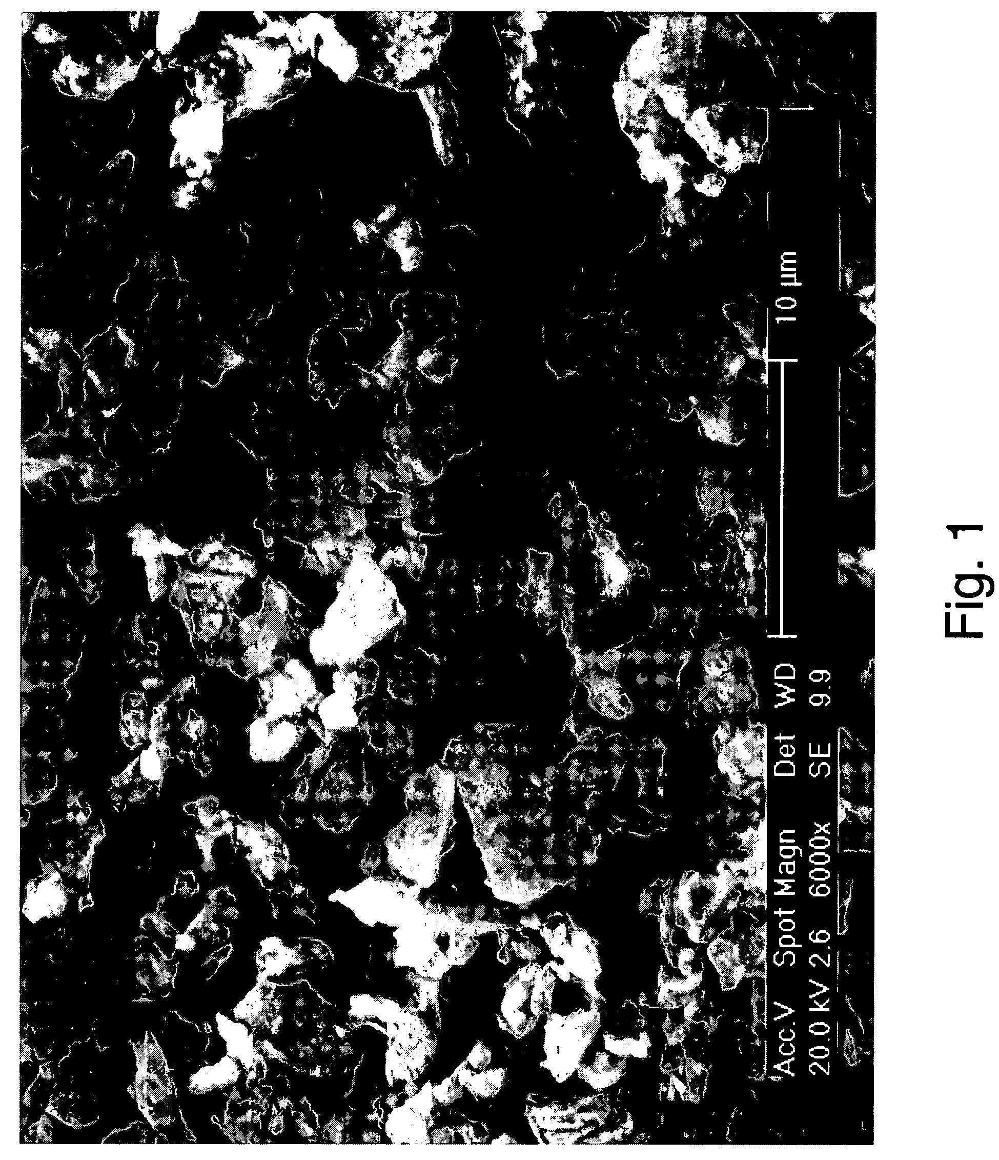 Servicing a wellbore with wellbore fluids comprising perlite