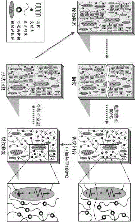 Shape memory intrinsic type self-repairing material as well as preparation method and application thereof