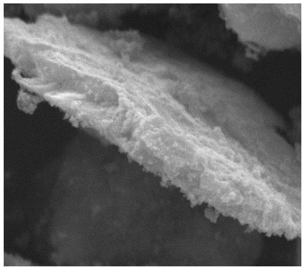 Rust-resistant carbonyl iron powder wave-absorbing material and preparation method thereof