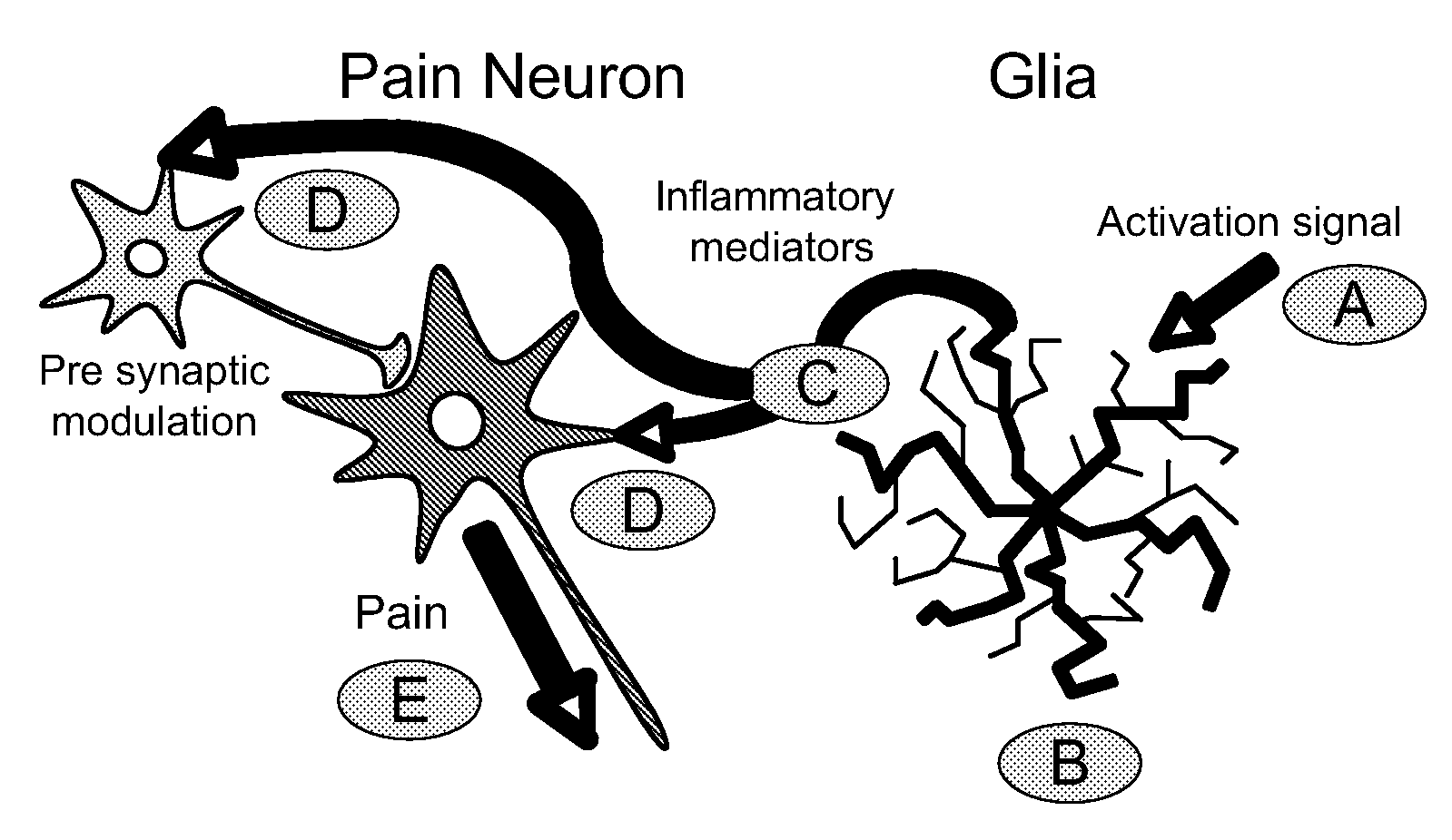 (+)-opioids and methods of use