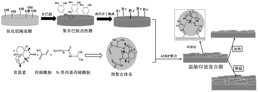 Preparation method and application of bionic temperature-sensitive molecular engram composite film