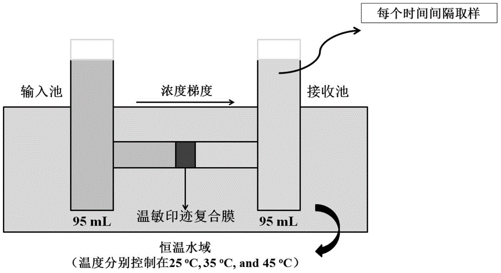 Preparation method and application of bionic temperature-sensitive molecular engram composite film