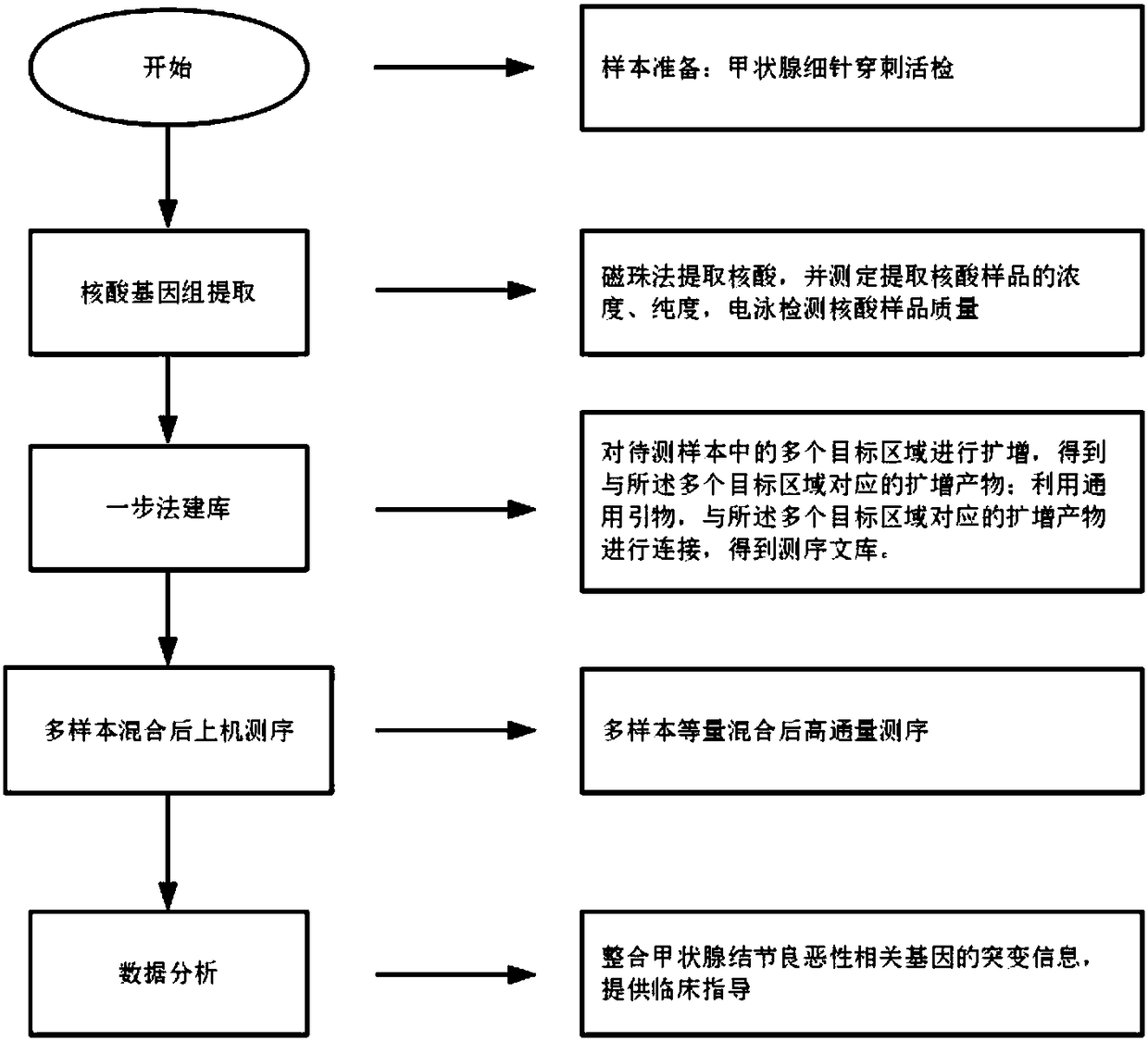 PCR (Polymerase Chain Reaction) specific primer, detecting kit and detecting method of benign and malignant thyroid nodule associated gene