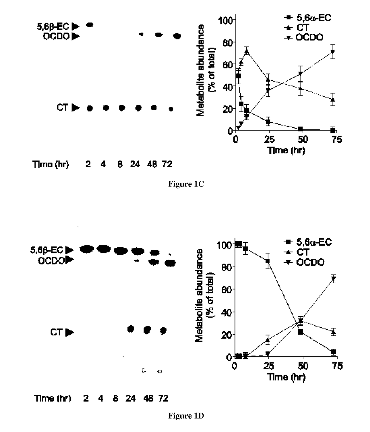 Methods of diagnosing and treating cancer