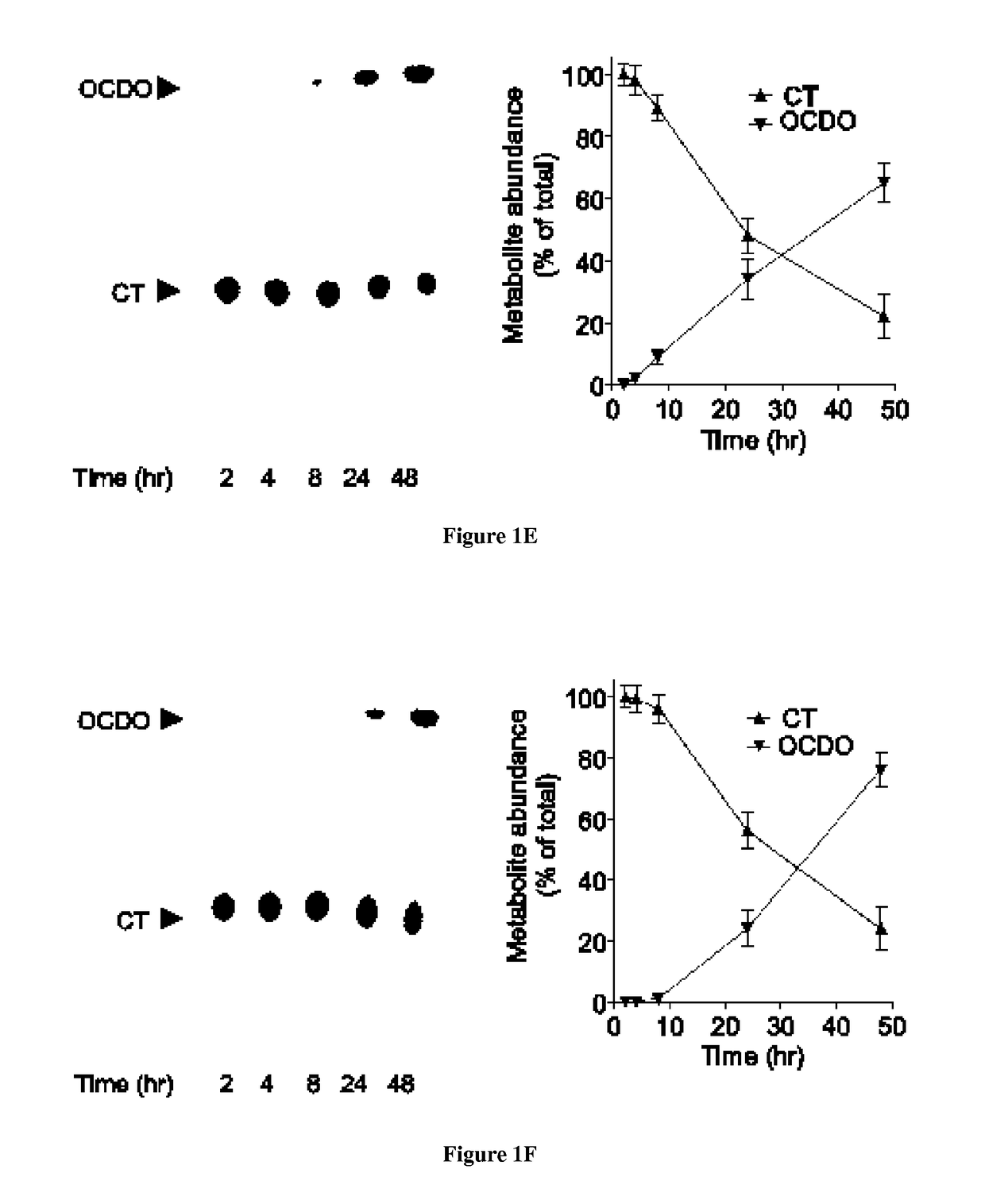 Methods of diagnosing and treating cancer