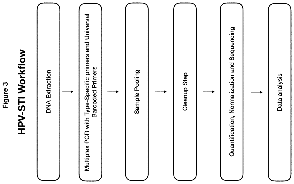 Methods and compositions for human papillomaviruses and sexually transmitted infections detection, identification and quantification