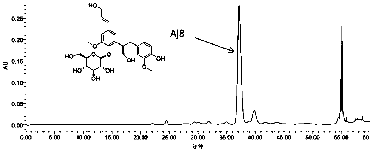 Cortex albiziae lignan glycoside compound promoting endothelial cell proliferation and application