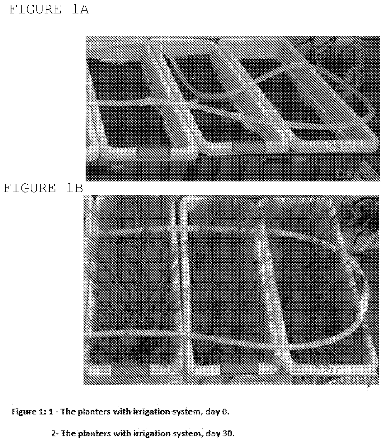 Herbicidal compositions