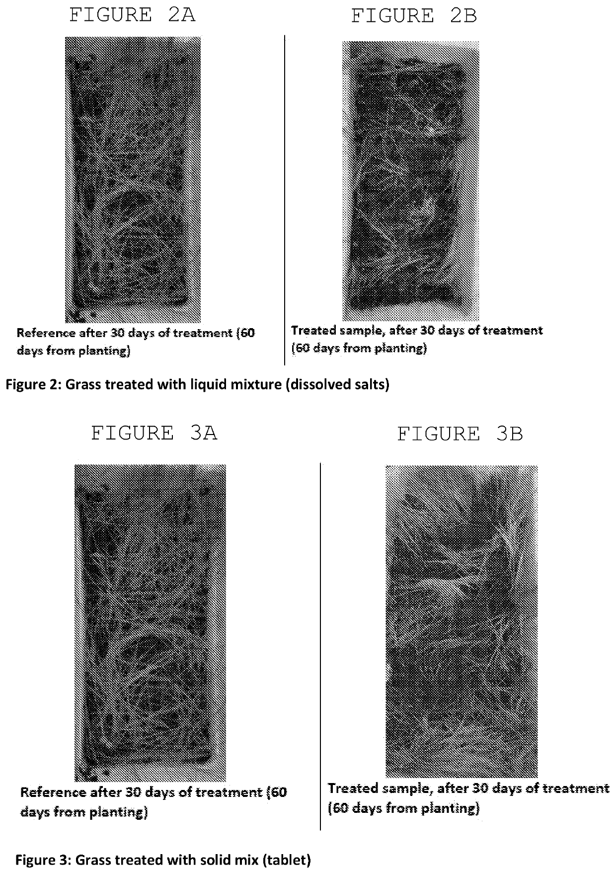 Herbicidal compositions