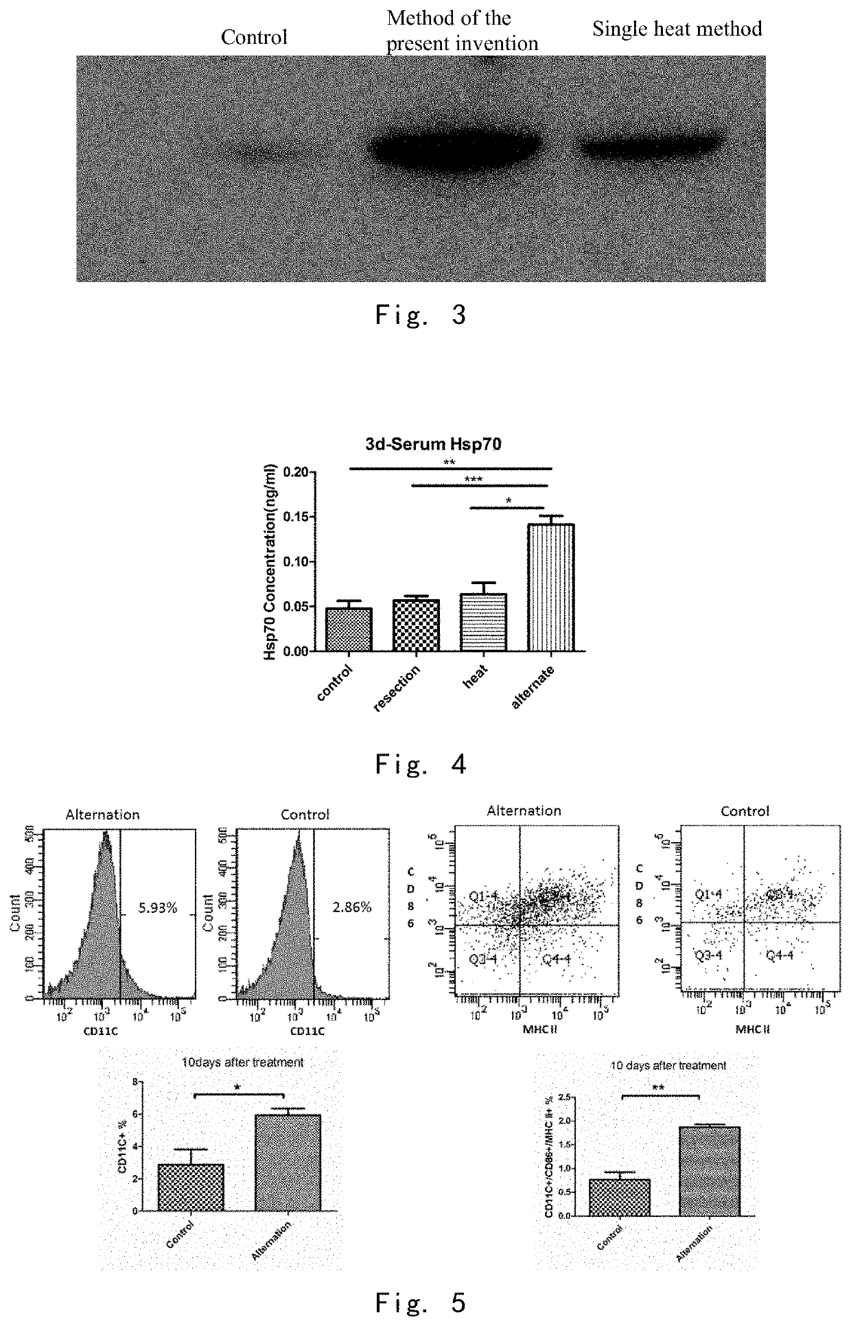 Tumour immunogen, preparation method therefor, and application