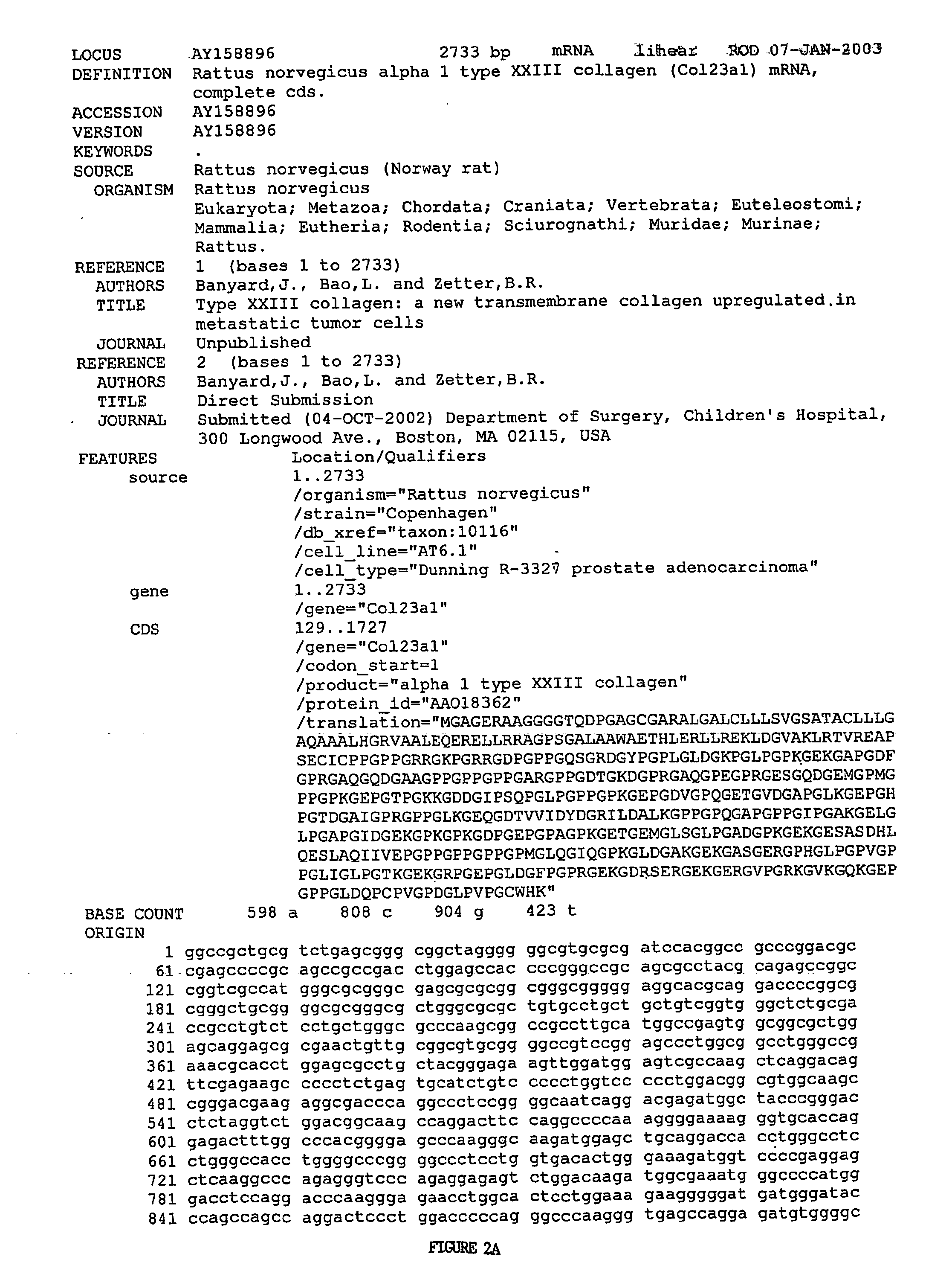 Methods for diagnosis and prognosis of cancer