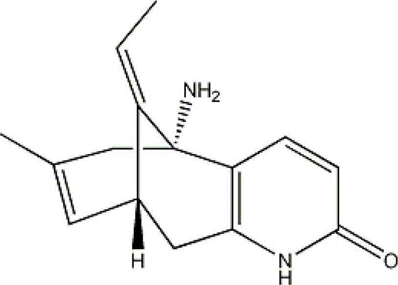 Huperzine-A particle long-acting injection and preparation method thereof