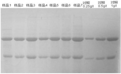 Recombinant antibody against human pepsinogen II