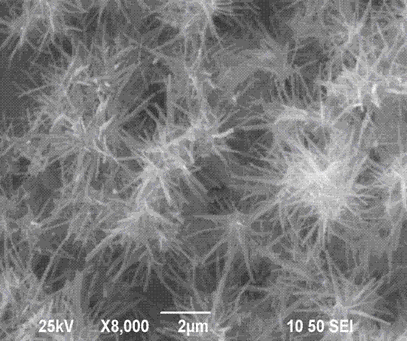 Method for preparing pine-needle-shaped zinc oxide gas sensor