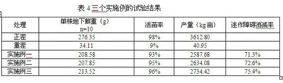 Substrate culture method for reducing continuous cropping obstacle of rehmannia