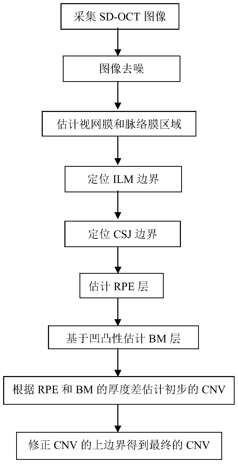 Bump-Based CNV Segmentation Method for SD-OCT Retinal Image