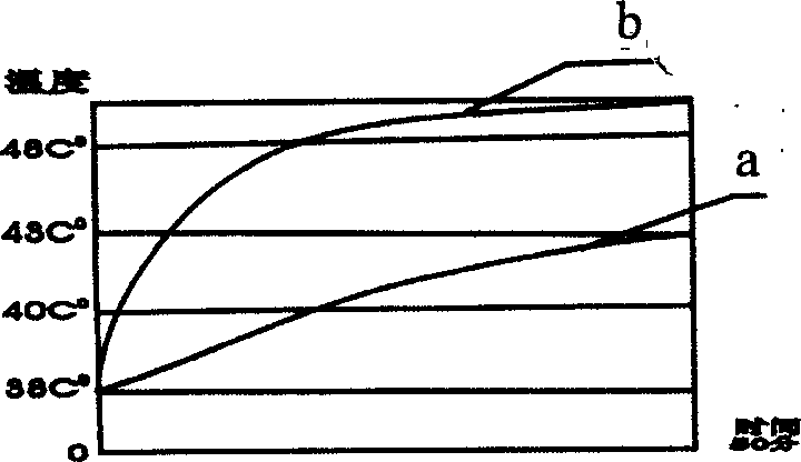 Radio multi-electrode time divided thermotherapeutical apparatus