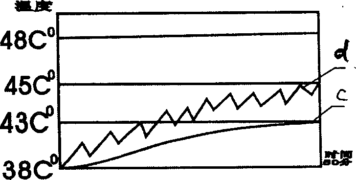 Radio multi-electrode time divided thermotherapeutical apparatus