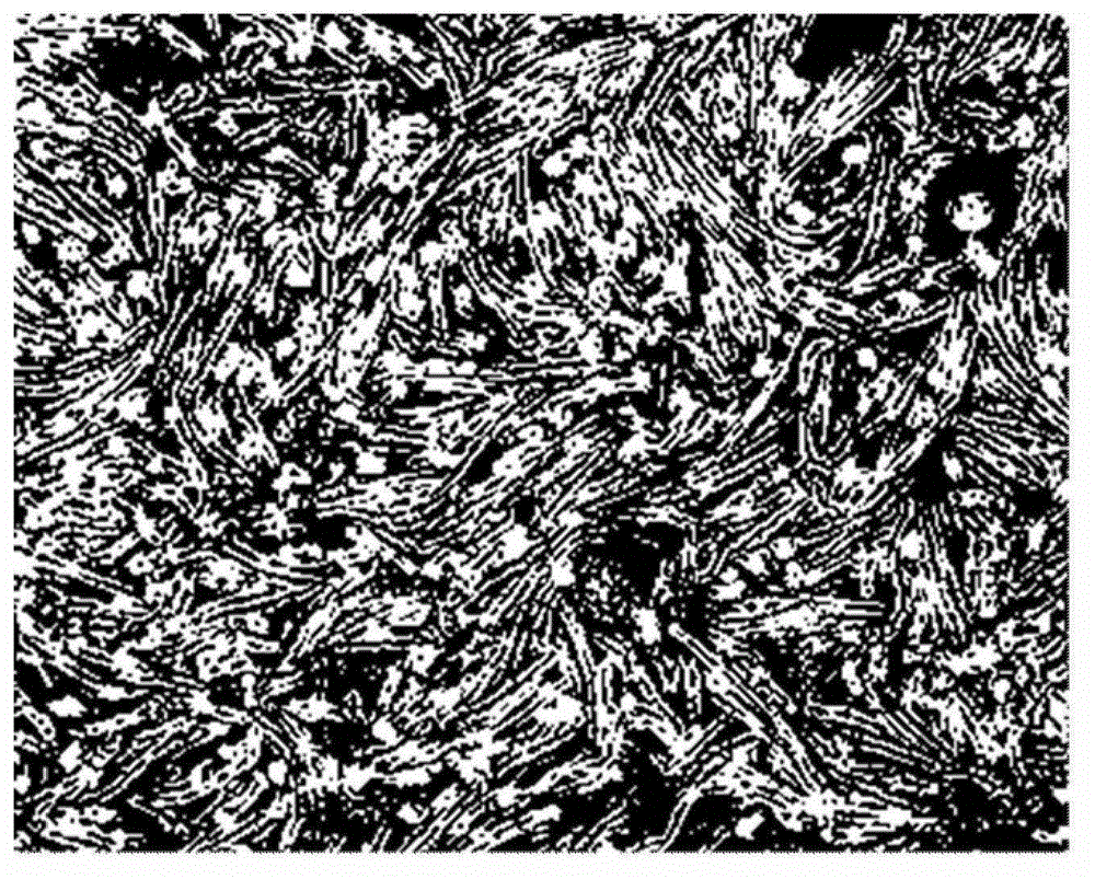 Method for efficiently separating and expanding mesenchymal stem cells in human umbilical cord blood