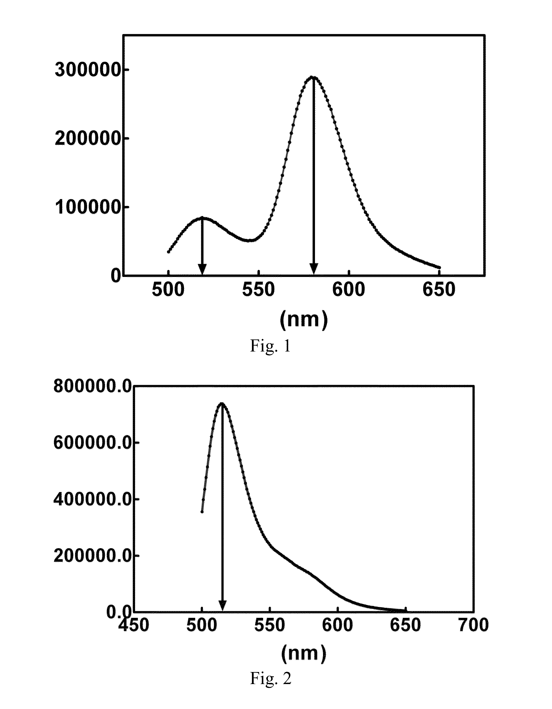 Double-stranded nucleic acid, use and kit thereof in ribonuclease detection