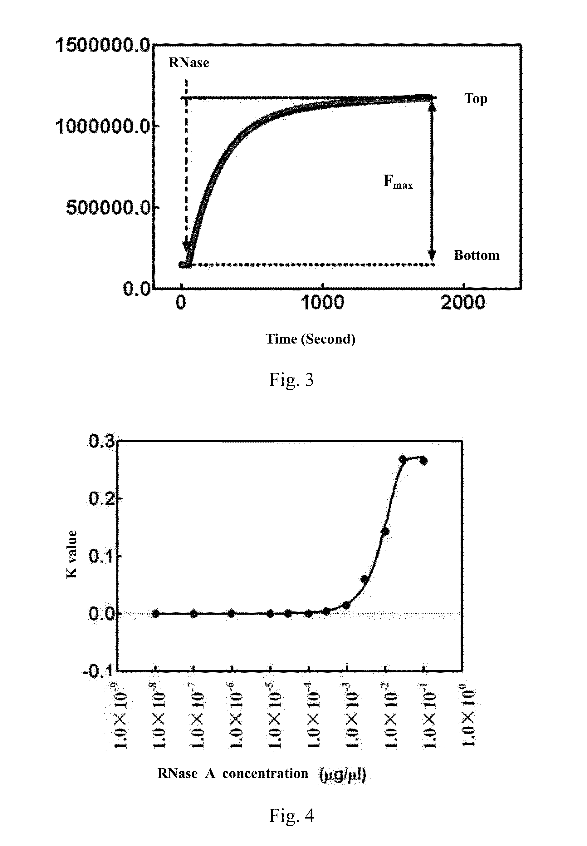 Double-stranded nucleic acid, use and kit thereof in ribonuclease detection