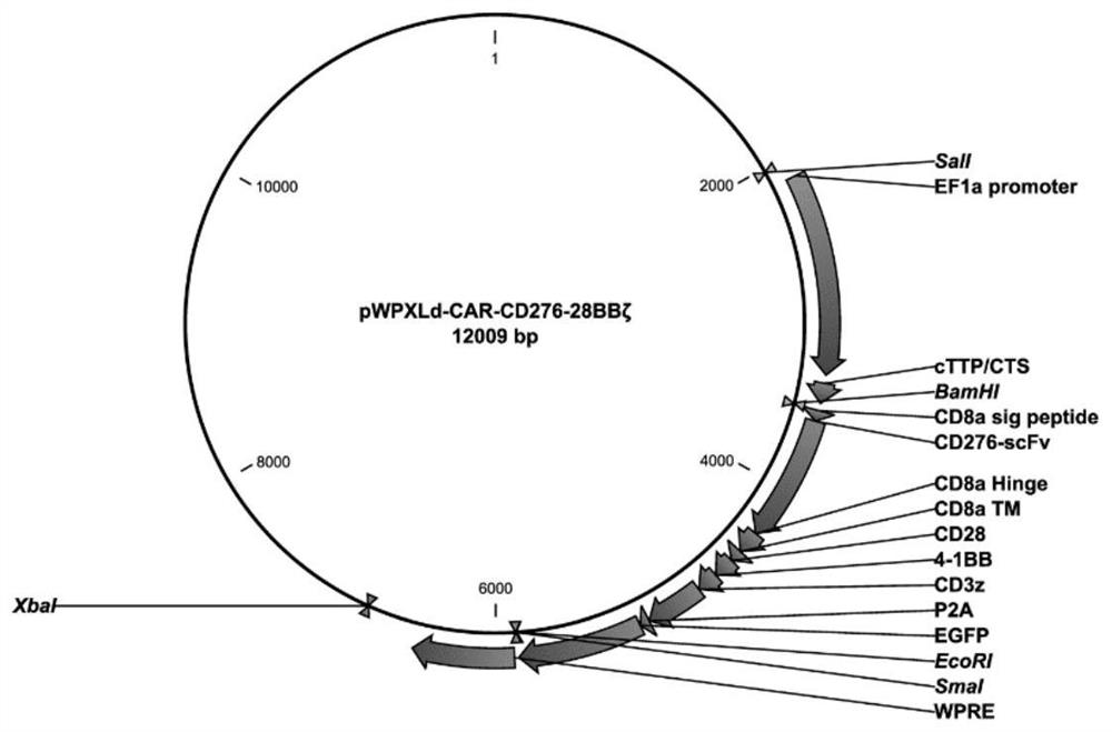 CD276-targeting chimeric antigen receptor with CD28 and 4-1BB as costimulatory structural domain and application of CD276-targeting chimeric antigen receptor