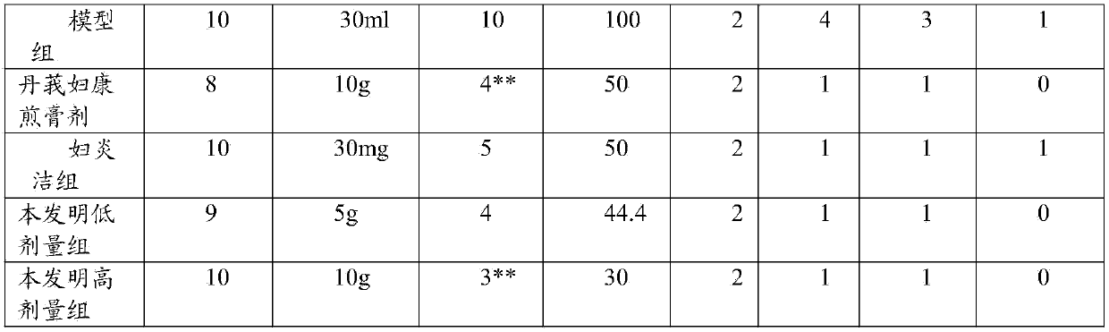 Chinese medicinal enema for treating chronic endometritis and preparation method thereof