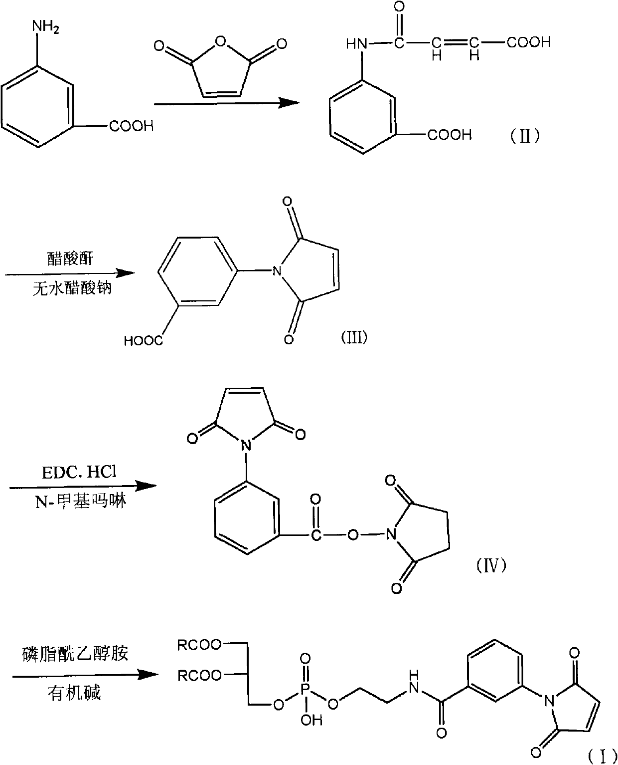 Synthetic method of maleimide phosphatidyl ethanolamine