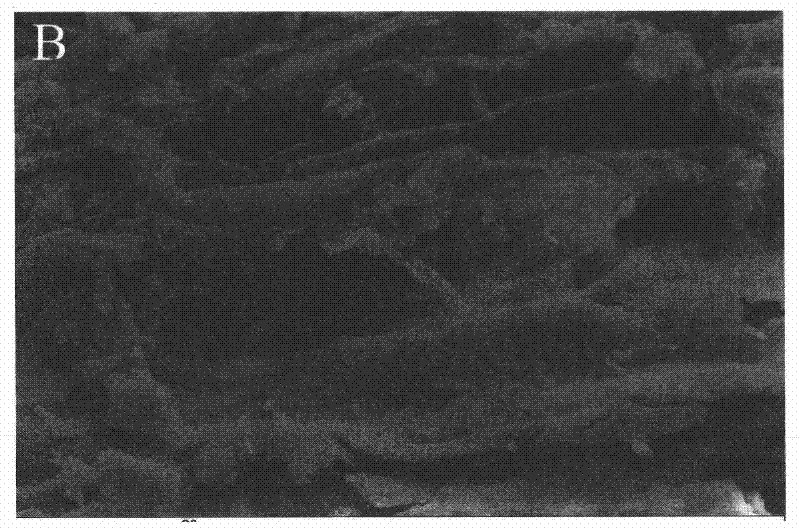 Method for treating tobacco stem