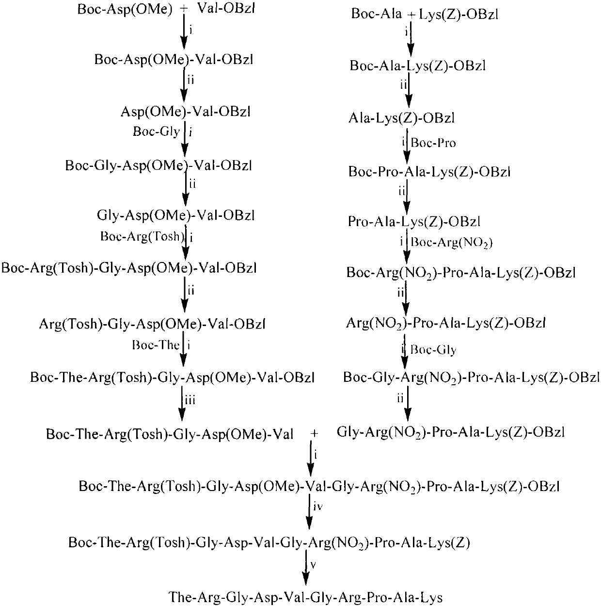 The-RGDVGRPAK decapeptide, and preparation, activities and application thereof