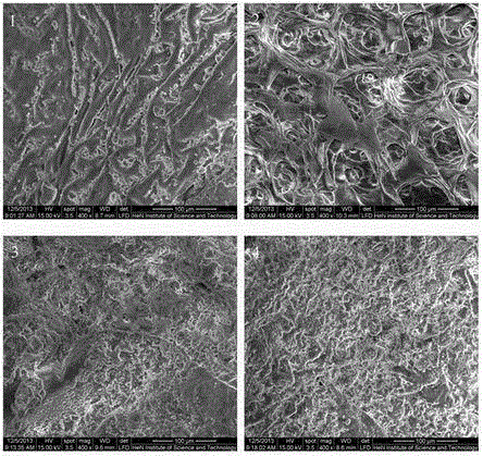 Method of preparing apigenin by treating adinandra nitida leaves by steam explosion technology