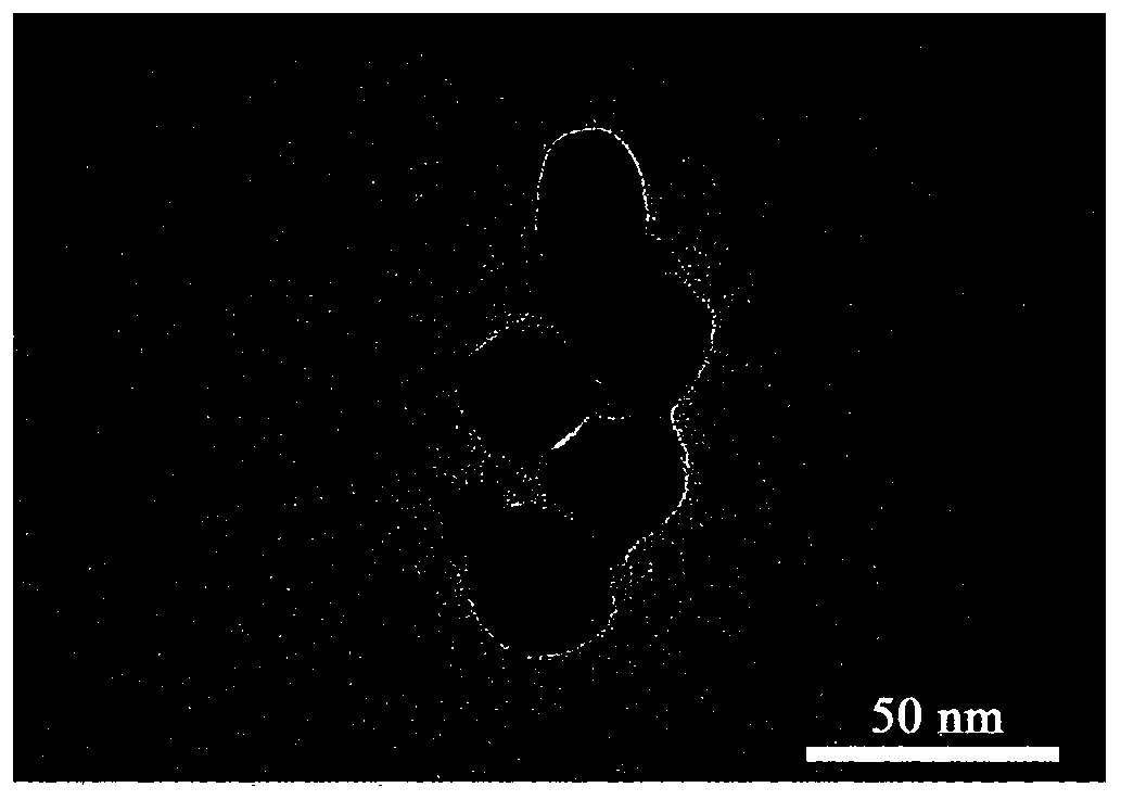 Surface enhanced Raman spectrum substrate for specifically detecting Cu2+, preparation method thereof and application thereof