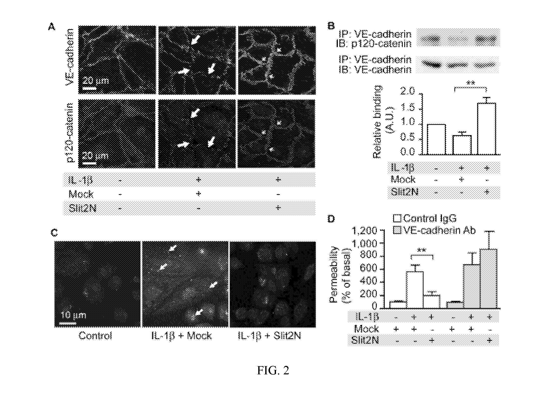 Compositions and methods for promoting vascular barrier function and treating pulonary fibrosis