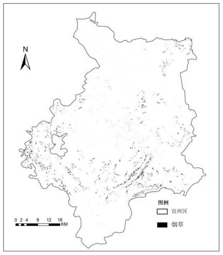 Remote sensing tobacco field identification method based on improved vegetation index