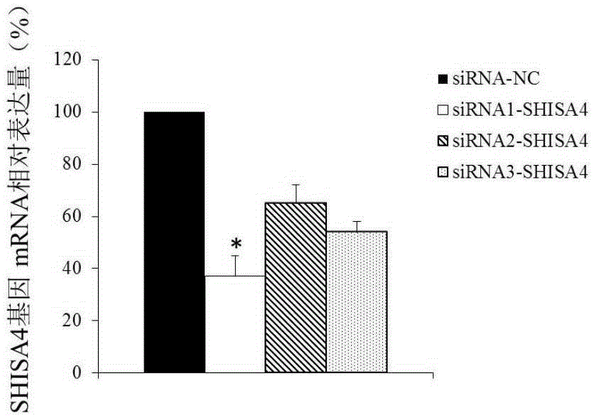 Application of gene SHISA4 as intervertebral disc degenerative change diagnosis and treatment marker