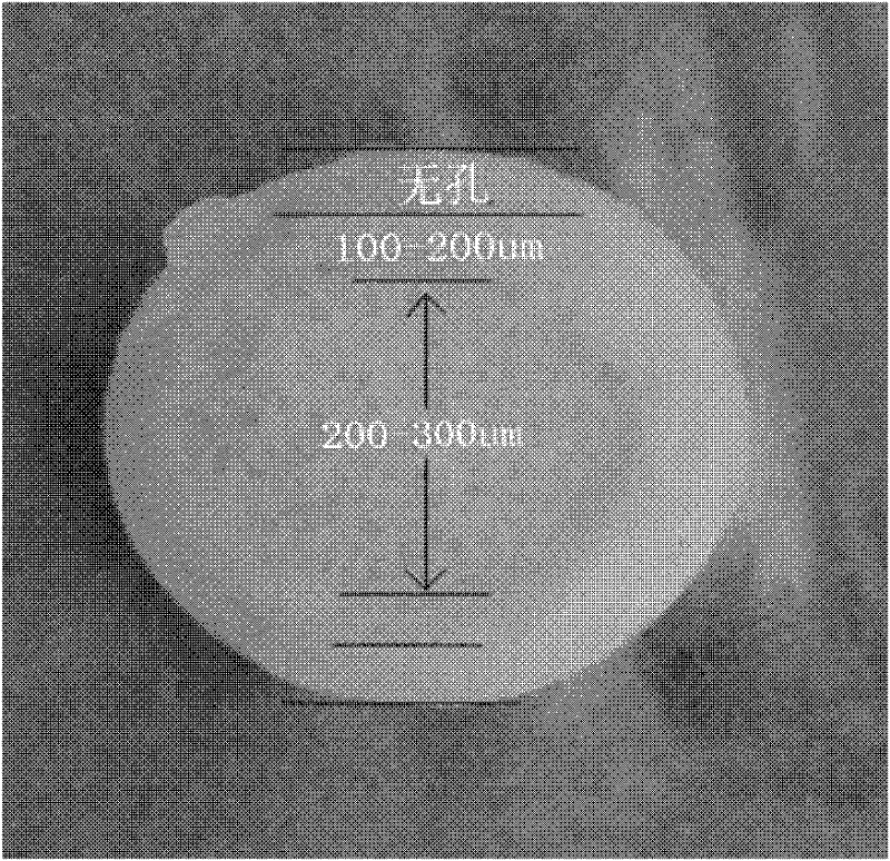 Nanometer artificial bone framework with transverse gradient hole structure and preparation method thereof