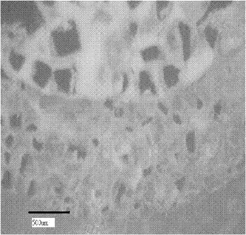 Nanometer artificial bone framework with transverse gradient hole structure and preparation method thereof