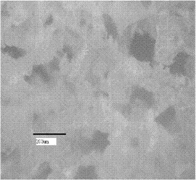 Nanometer artificial bone framework with transverse gradient hole structure and preparation method thereof