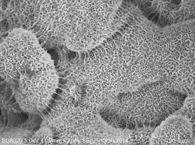 Electrocatalytic porous titanium filter membrane with micro nano structure and preparation method thereof