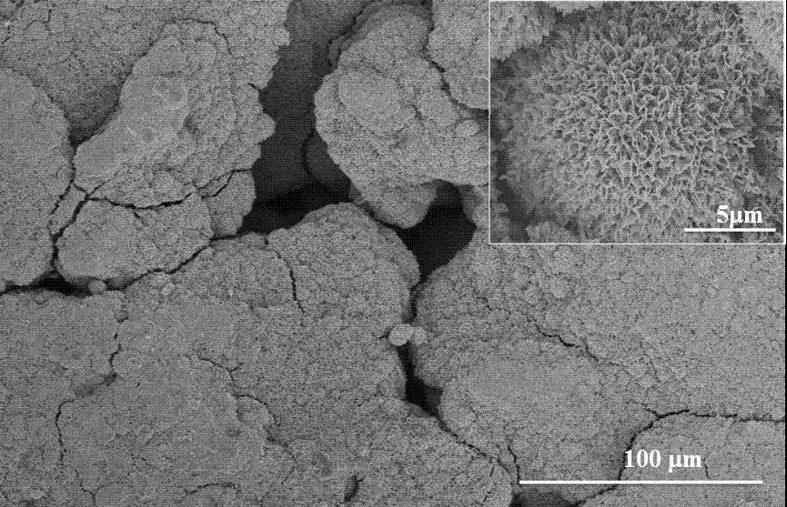 Electrocatalytic porous titanium filter membrane with micro nano structure and preparation method thereof