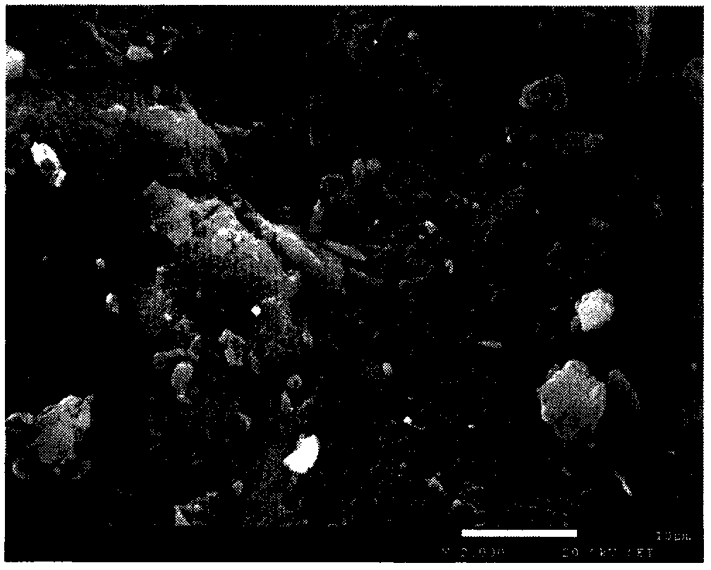 Ethylenediamine-modified peach kernel cationic adsorbent and preparation method thereof