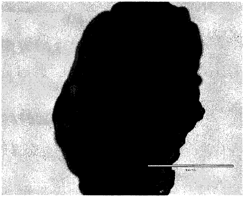 Ethylenediamine-modified peach kernel cationic adsorbent and preparation method thereof