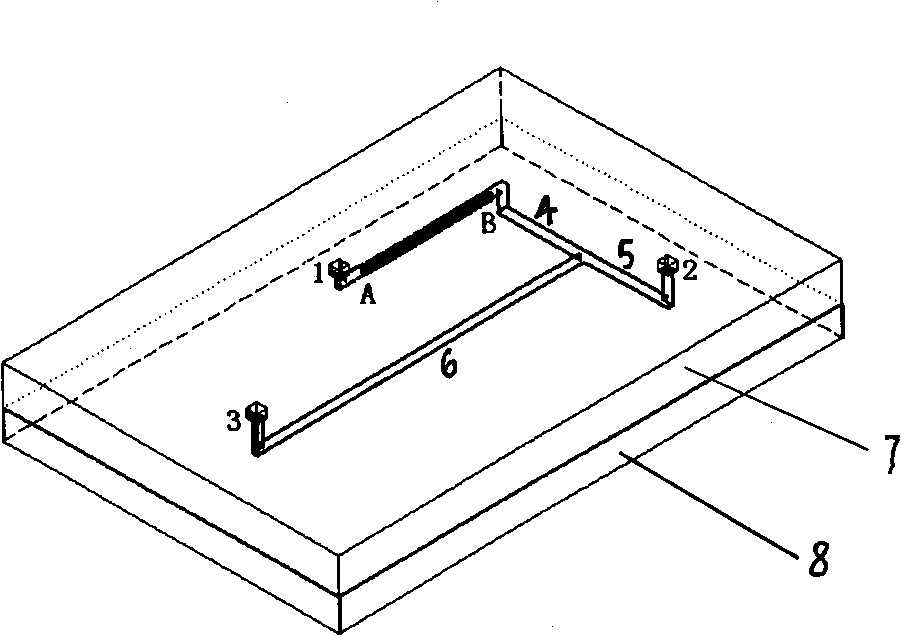 Three-dimensional microflow control chip containing in-situ poly(butyl methacrylate) preprocess integral column